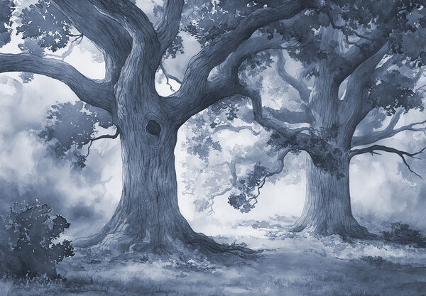 A group of trees with many branches A group of trees with many branches