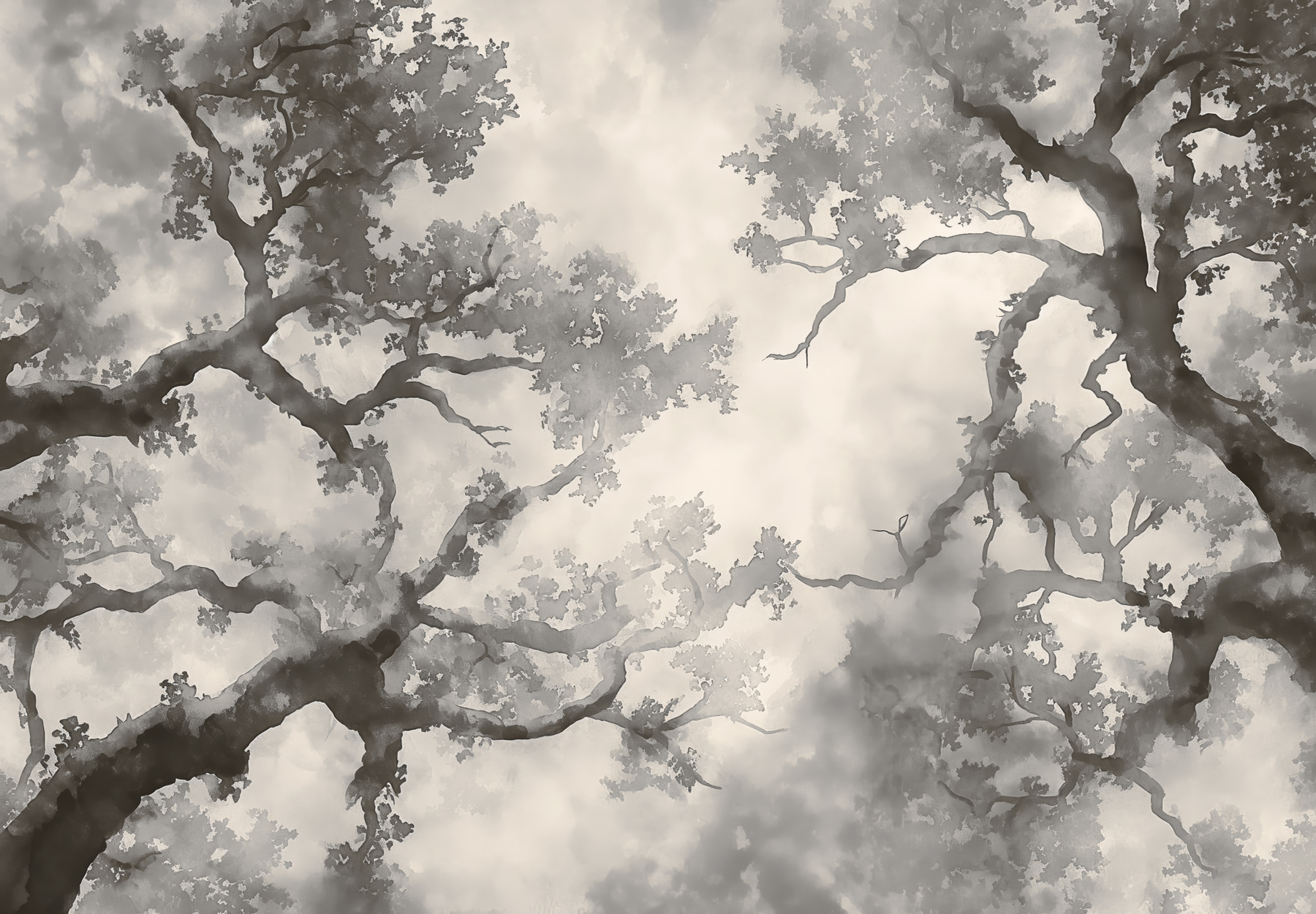 A group of trees with branches A group of trees with branches