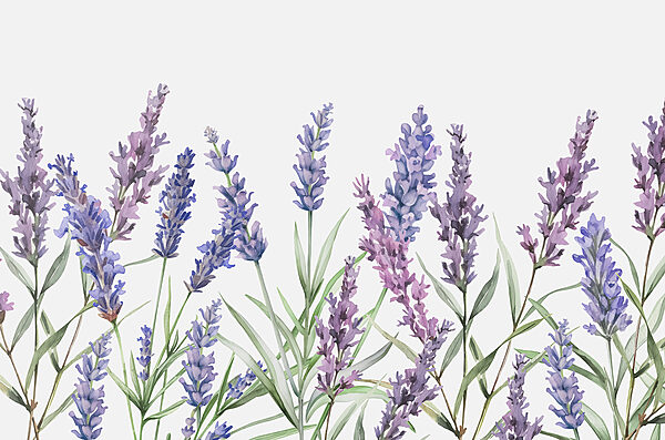 Eine Reihe violetter Blumen Eine Reihe violetter Blumen