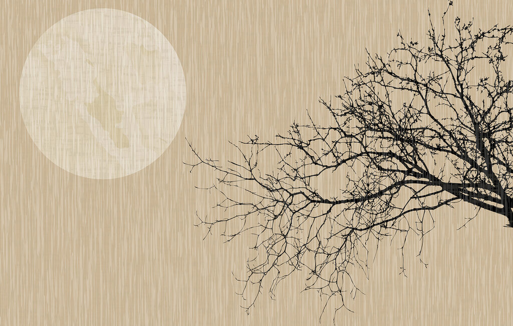 Ein Baum ohne Blätter Ein Baum ohne Blätter