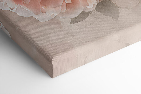 A group of flowers on a white background