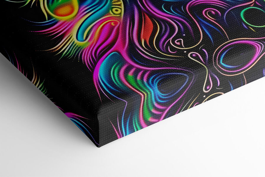 Eine bunte Katze mit schwarzem Hintergrund