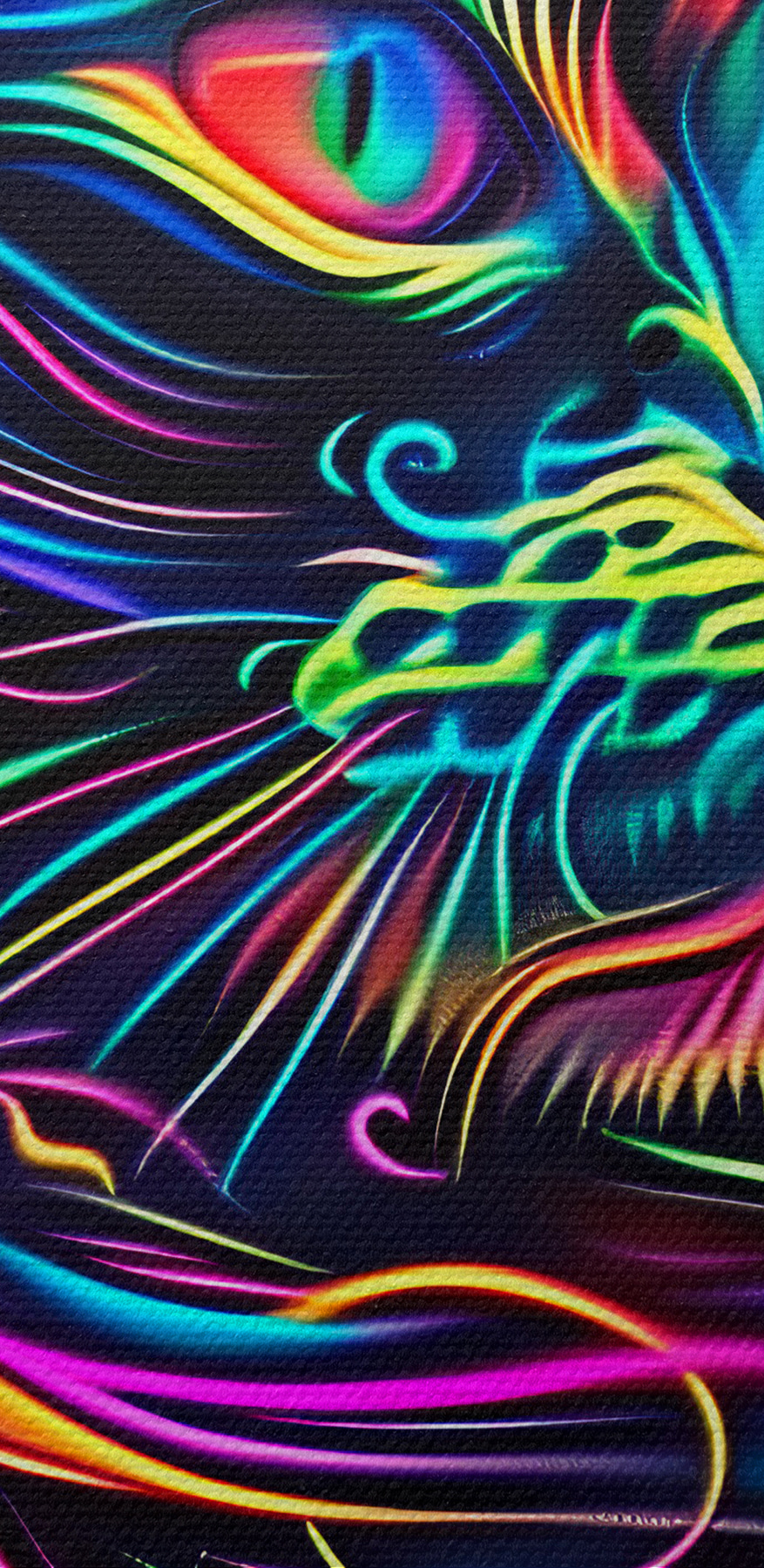 Eine bunte Katze mit schwarzem Hintergrund