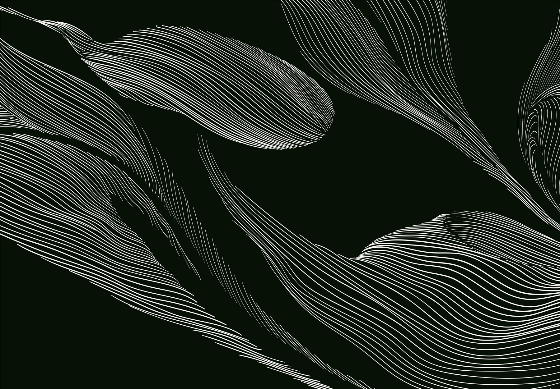 A white lines on a black background