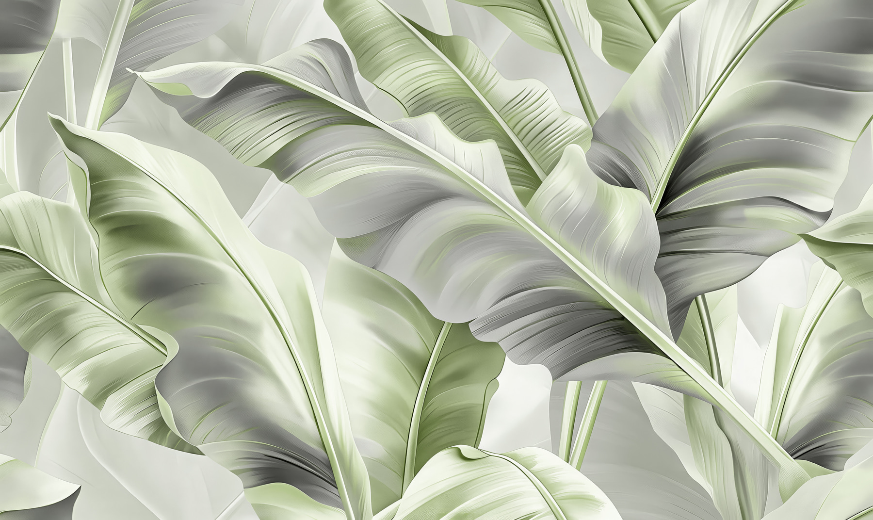 A close up of leaves