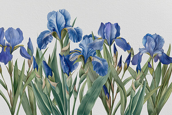 Eine Gruppe von blauen Blumen Eine Gruppe von blauen Blumen