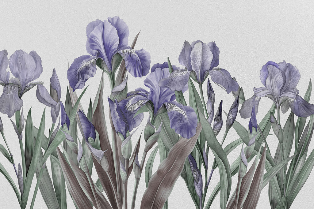 A group of purple flowers A group of purple flowers
