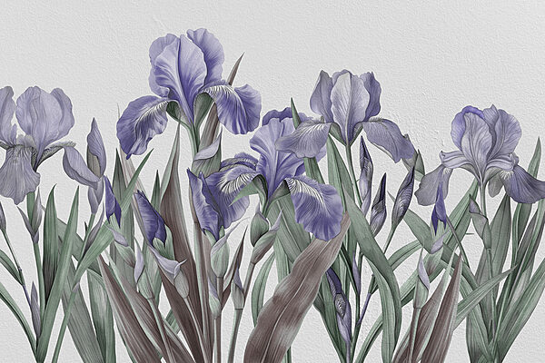 A group of purple flowers A group of purple flowers