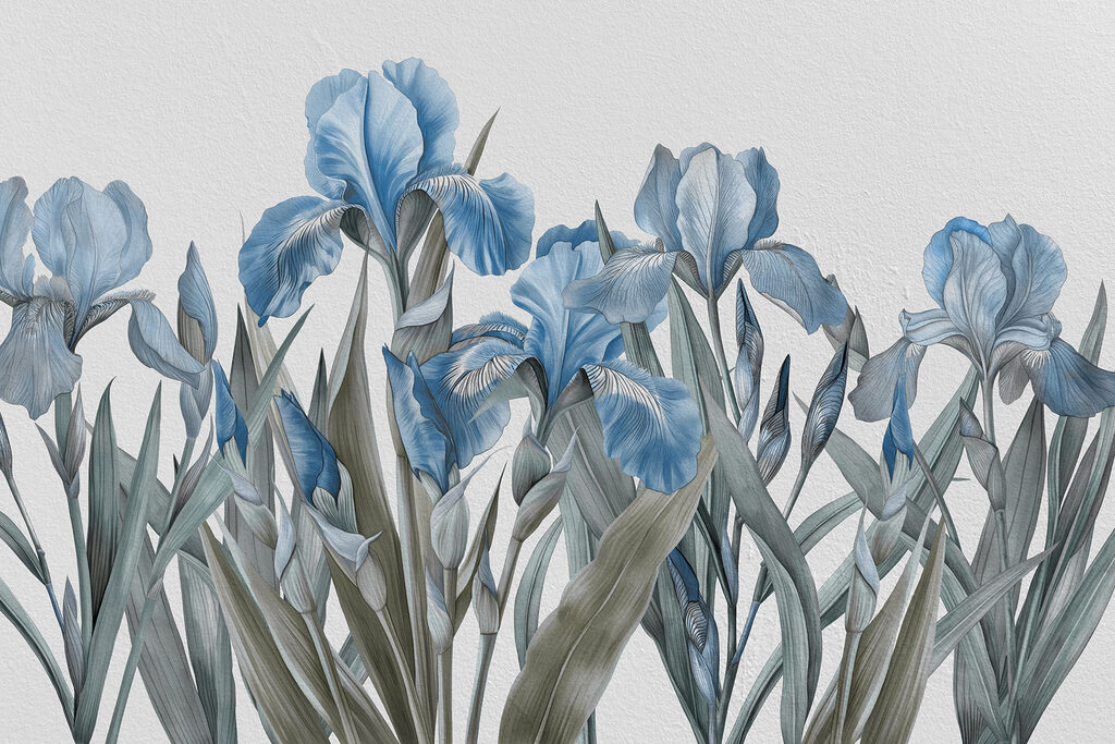 A group of blue flowers