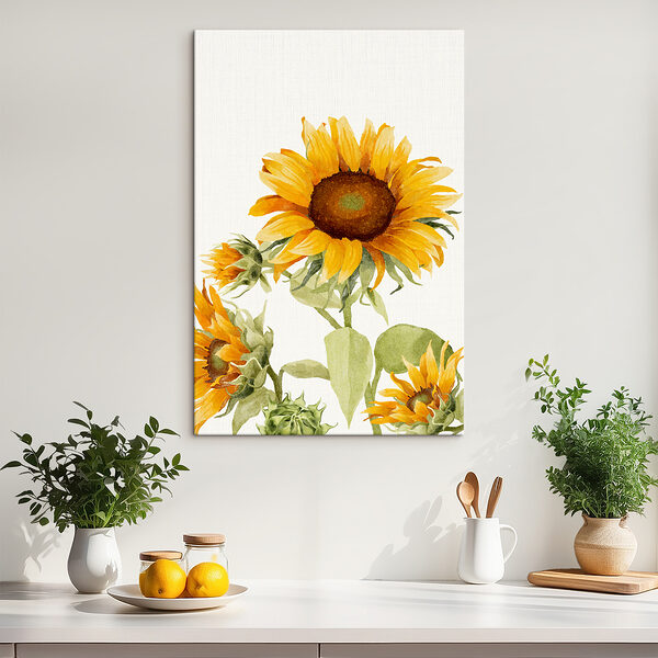 Nahaufnahme einer Sonnenblume Nahaufnahme einer Sonnenblume