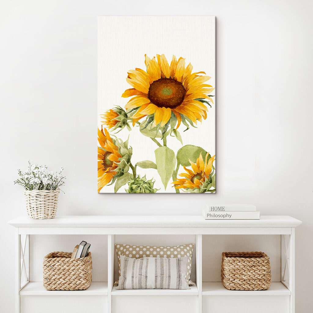 A close up of a sunflower