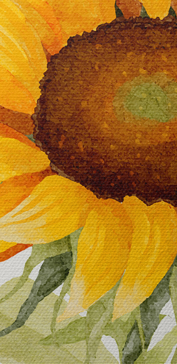 Nahaufnahme einer Sonnenblume Nahaufnahme einer Sonnenblume
