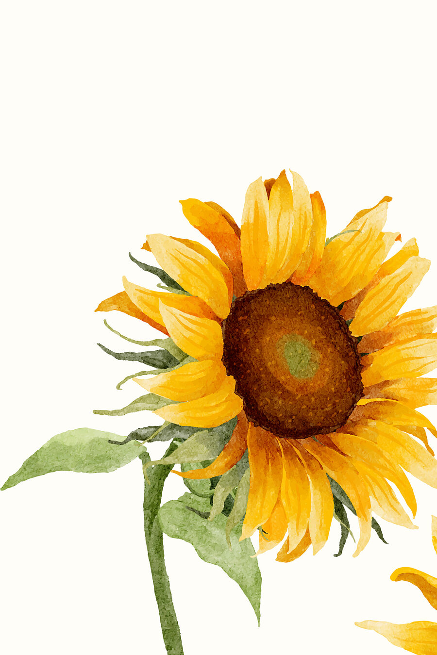 Nahaufnahme einer Sonnenblume
