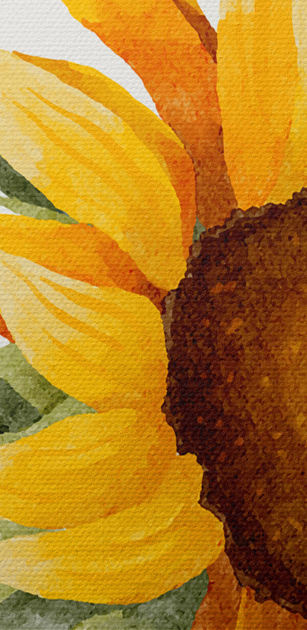 Nahaufnahme einer Sonnenblume Nahaufnahme einer Sonnenblume