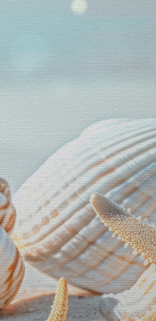 Eine Gruppe von Muscheln und Seesternen auf Sand Eine Gruppe von Muscheln und Seesternen auf Sand