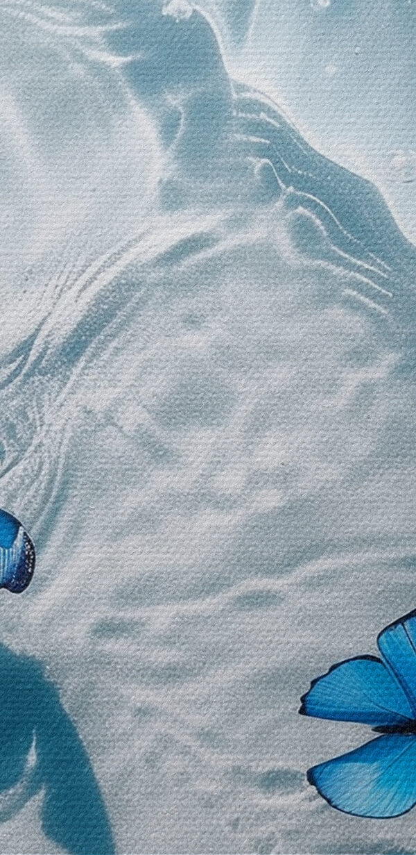 Eine Gruppe von blauen Schmetterlingen, die auf dem Wasser schwimmen Eine Gruppe von blauen Schmetterlingen, die auf dem Wasser schwimmen