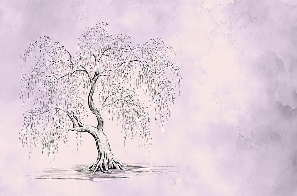 Baum mit Trauerweide Baum mit Trauerweide