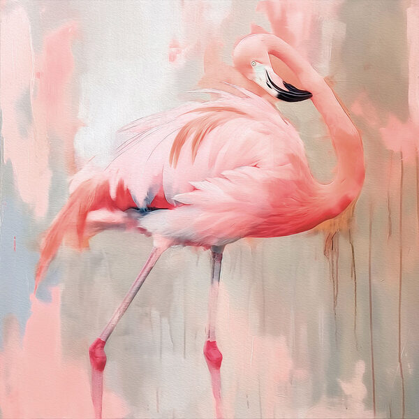 Rosa Flamingo mit langen Beinen Rosa Flamingo mit langen Beinen