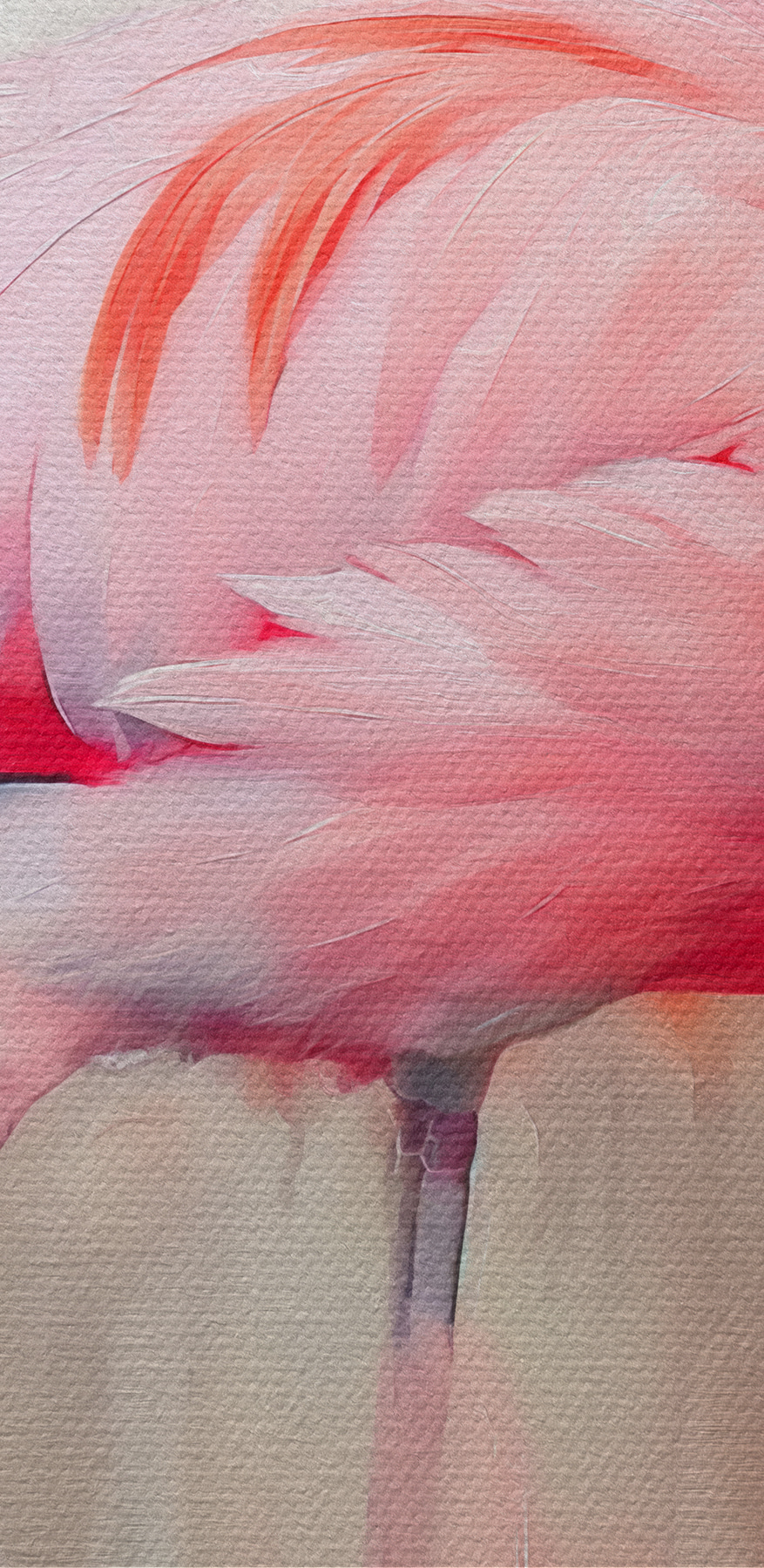 Rosa Flamingo mit langen Beinen