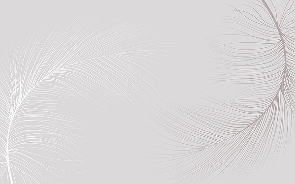 White background with lines