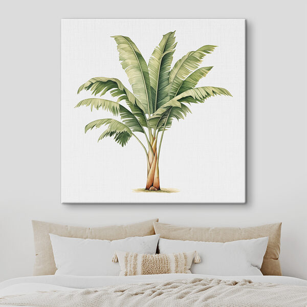 Wandbilder Palme mit großen Blättern (Artikelnummer: s39562) Wandbilder Wandbilder Palme mit großen Blättern (Artikelnummer: s39562)