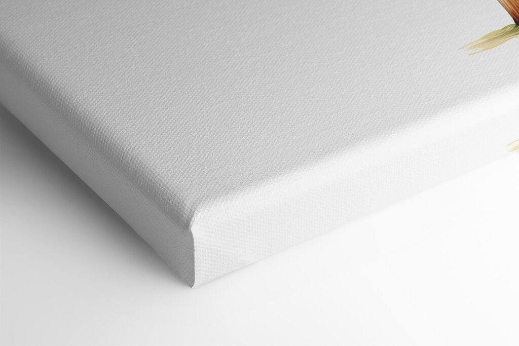 Palm tree with large leaves Palm tree with large leaves