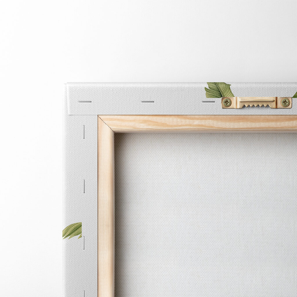 Palm tree with large leaves Palm tree with large leaves