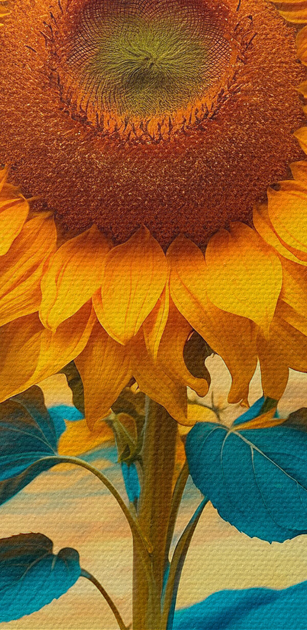 Sonnenblume mit blauen und gelben Blättern Sonnenblume mit blauen und gelben Blättern