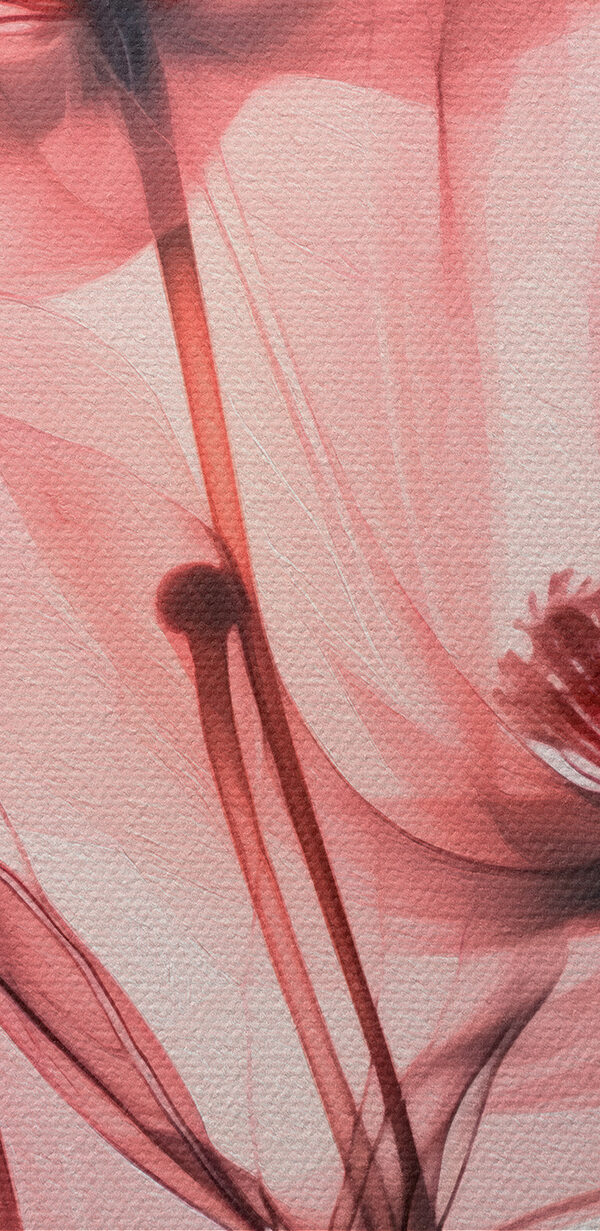 Delicate petals in soft hues