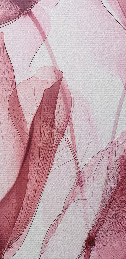 Group of pink flowers