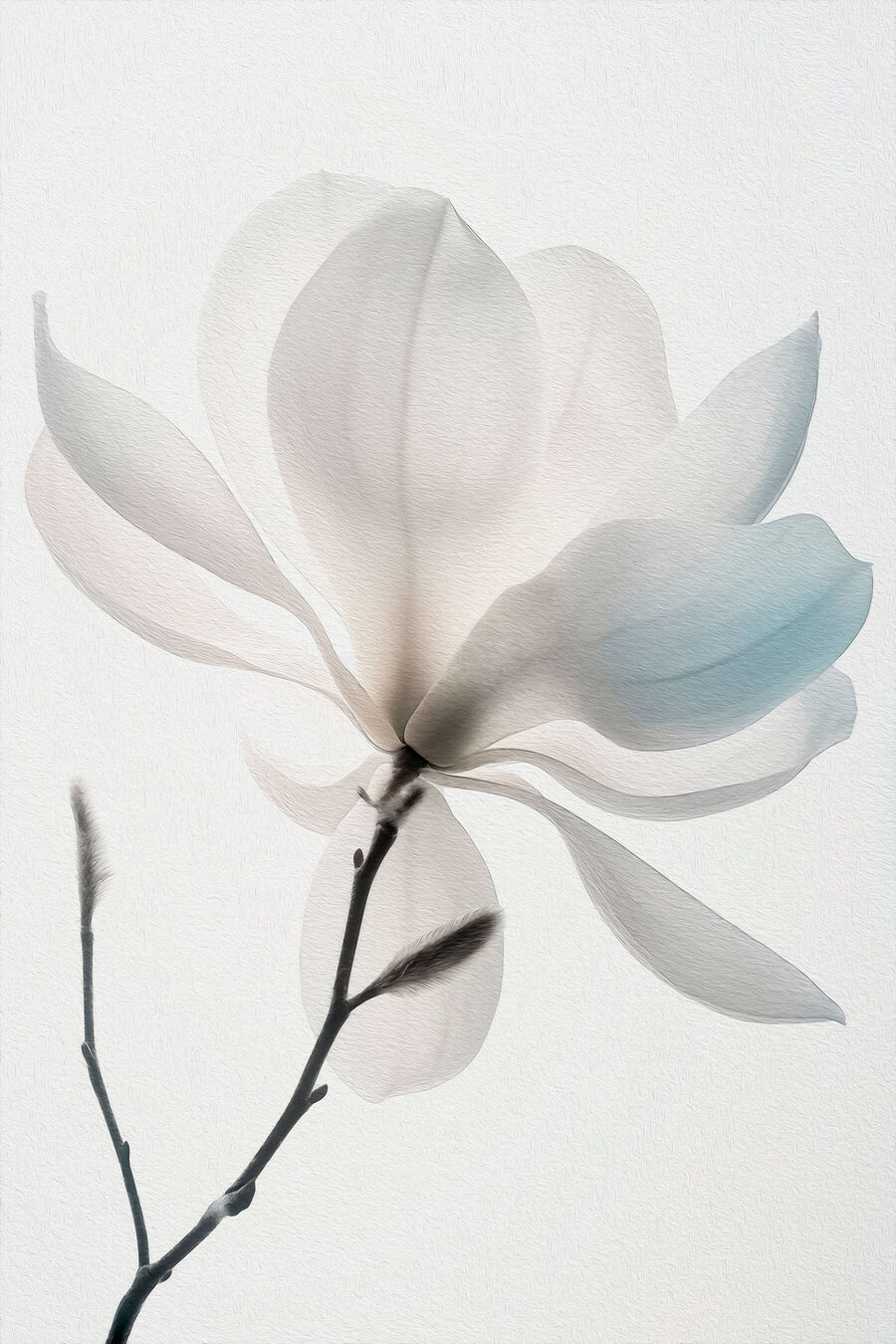 Weiße Blume mit Blättern