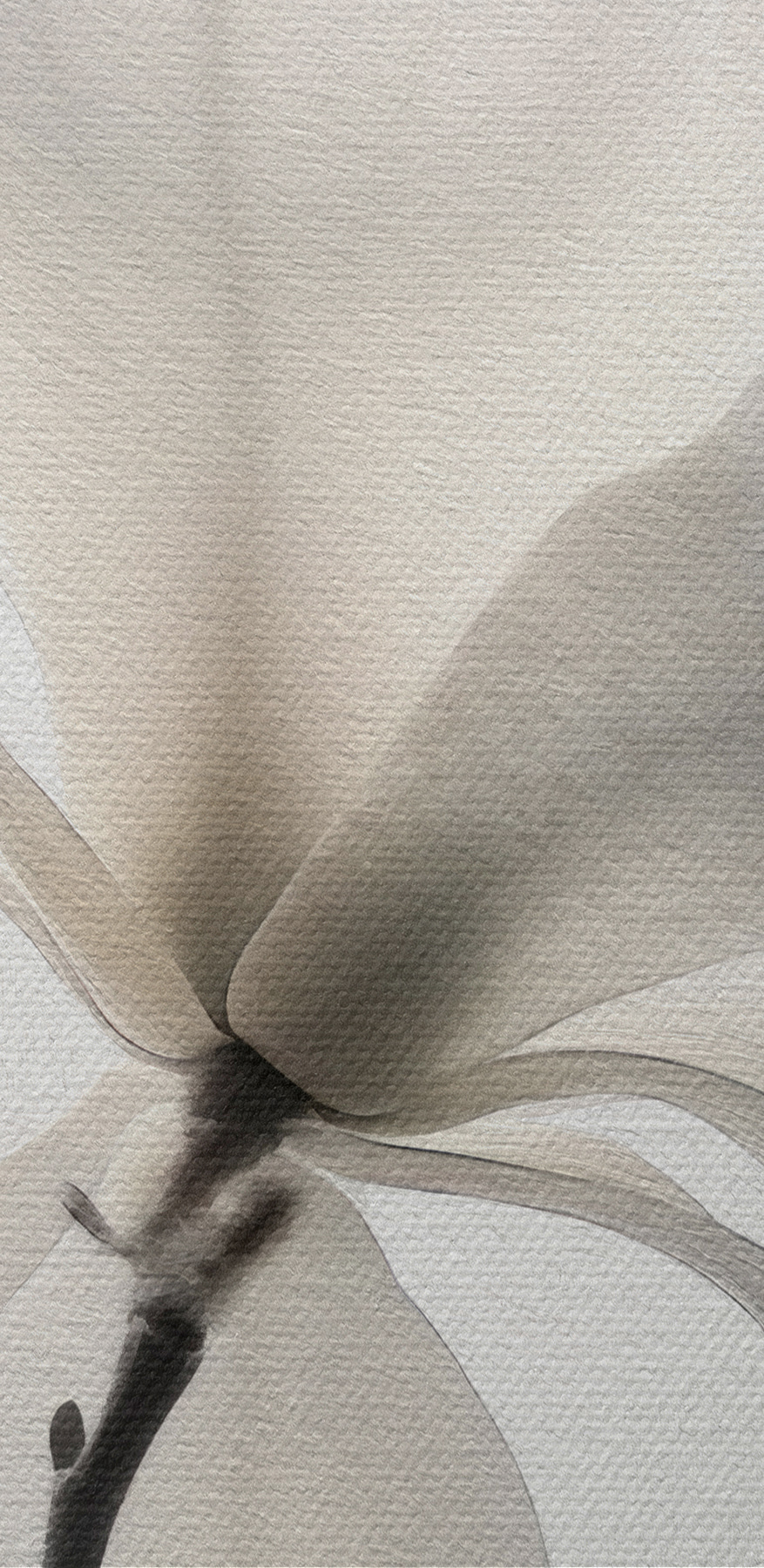Weiße Blume mit Blättern