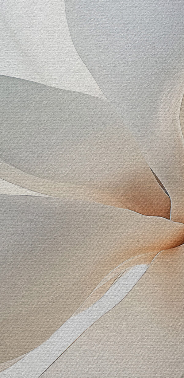 Weiße Blume mit Blütenblättern Weiße Blume mit Blütenblättern