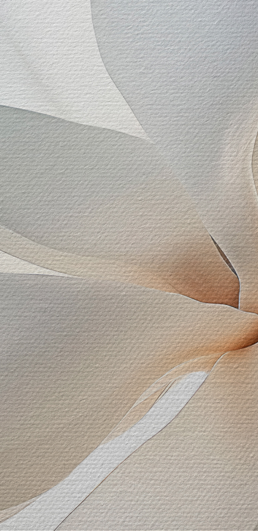 Weiße Blume mit Blütenblättern