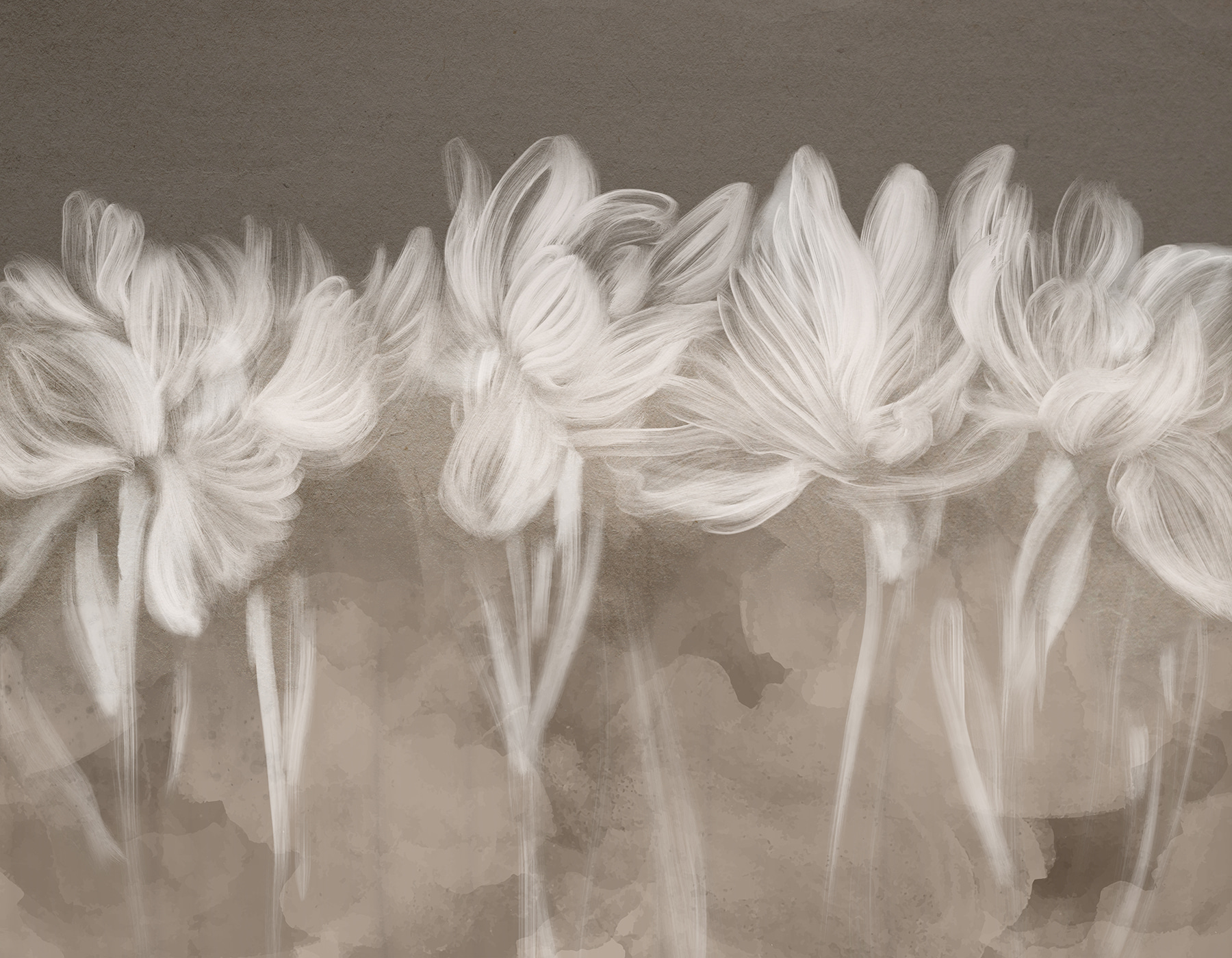 Group of white flowers Group of white flowers