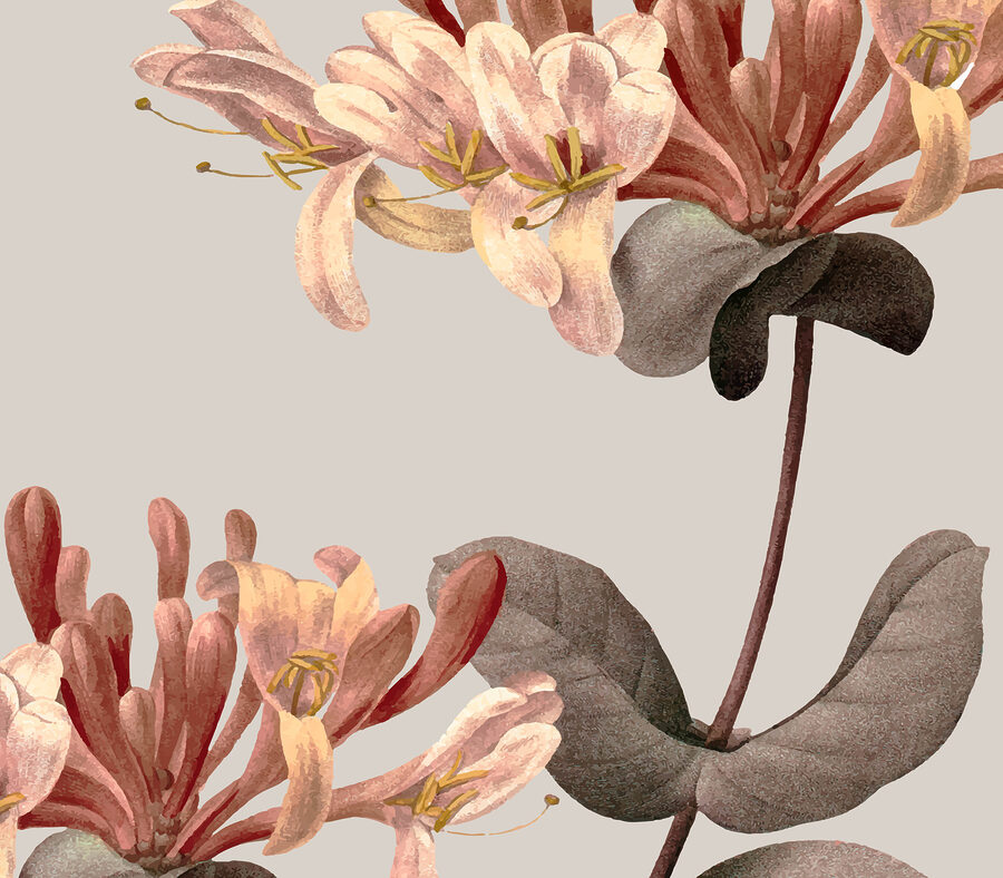 Nahaufnahme von Blumen Nahaufnahme von Blumen