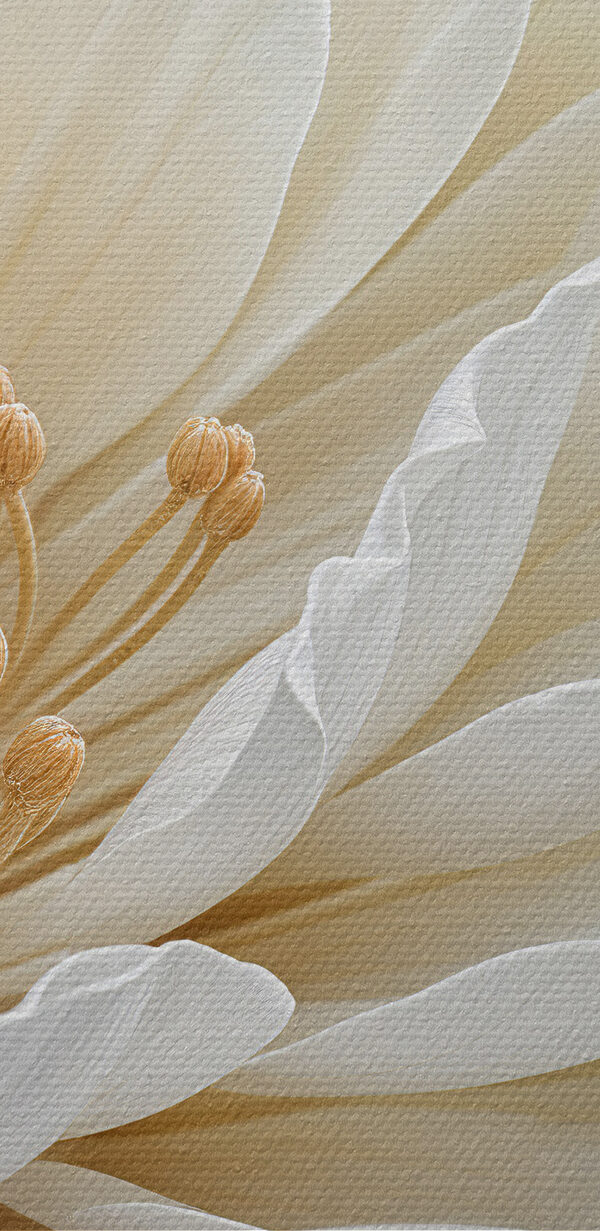 Nahaufnahme einer weißen Blume Nahaufnahme einer weißen Blume
