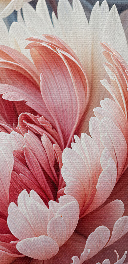Vibrant blooms in harmonious colors Vibrant blooms in harmonious colors