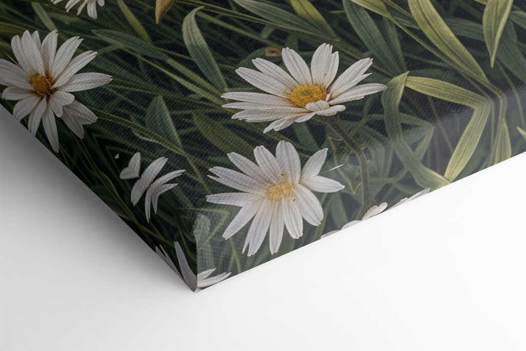 Field of white flowers