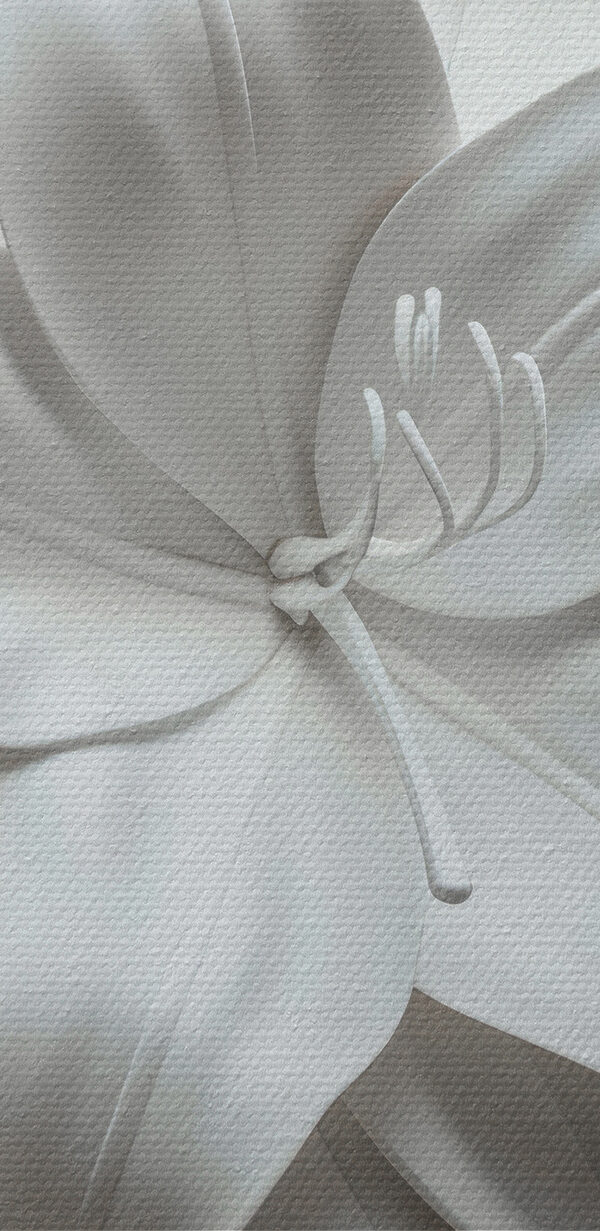 Weiße Blume auf weißer Fläche Weiße Blume auf weißer Fläche