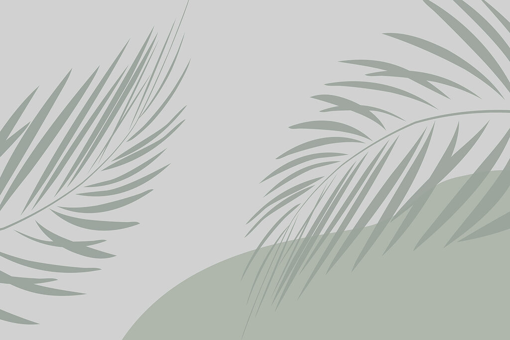 Palmenblätter auf grauem Hintergrund Palmenblätter auf grauem Hintergrund