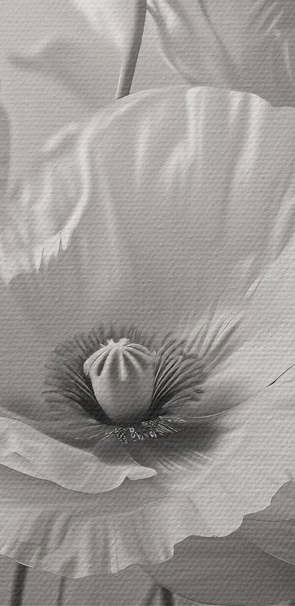 Gruppe von weißen Blumen Gruppe von weißen Blumen