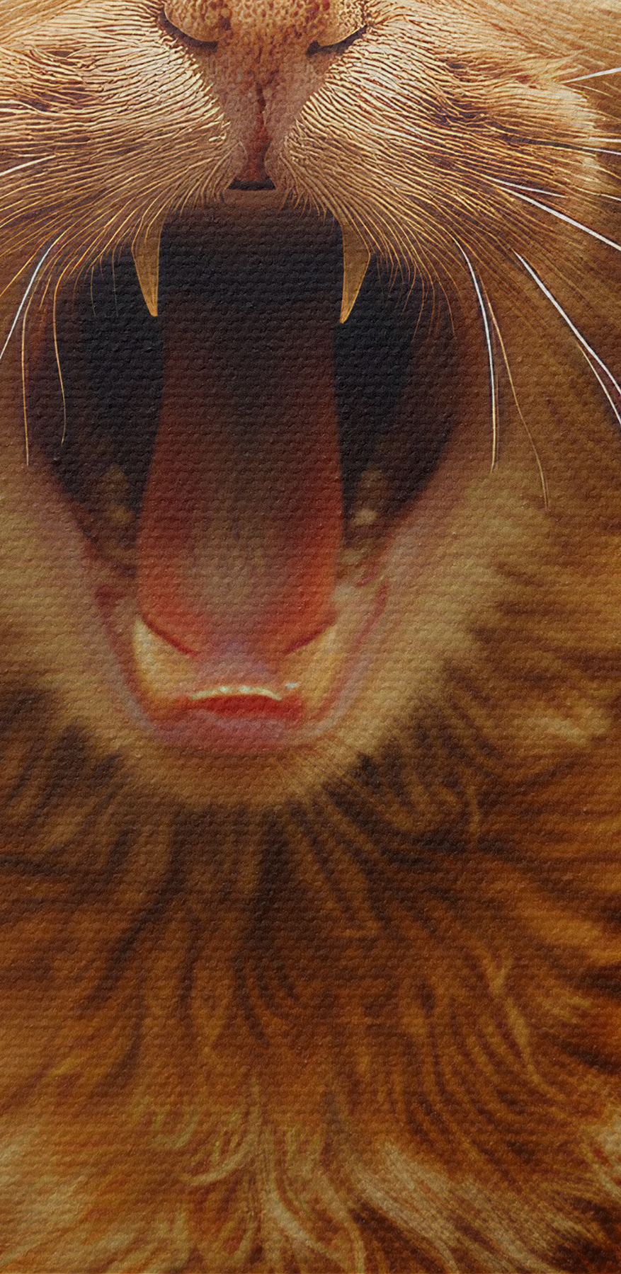 Katze mit offenem Maul Katze mit offenem Maul