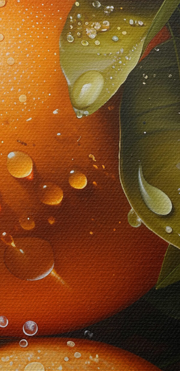 Gruppe von Orangen mit Blättern und Scheiben von Orangen Gruppe von Orangen mit Blättern und Scheiben von Orangen