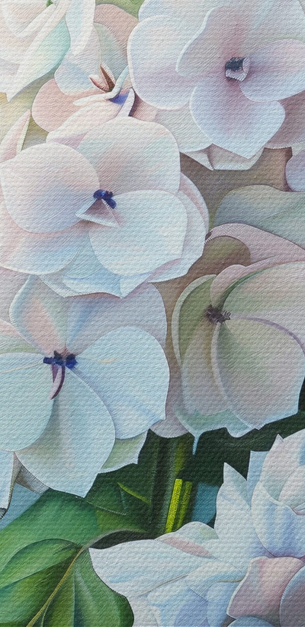 Nahaufnahme einer Blume Nahaufnahme einer Blume