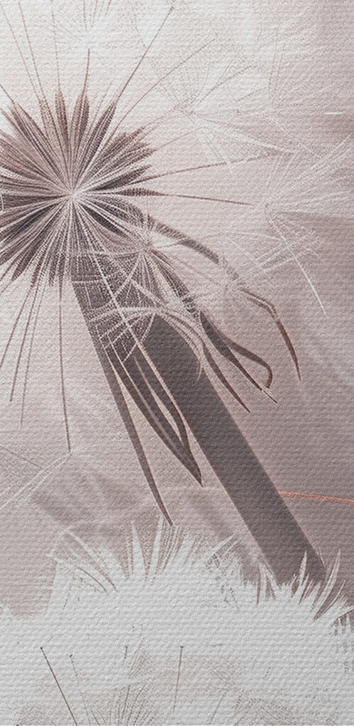 Delicate blooms against gentle hues Delicate blooms against gentle hues