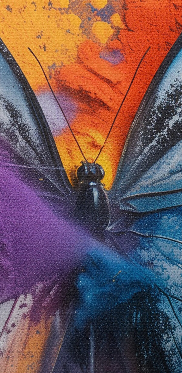 Schmetterling mit buntem Puder Schmetterling mit buntem Puder
