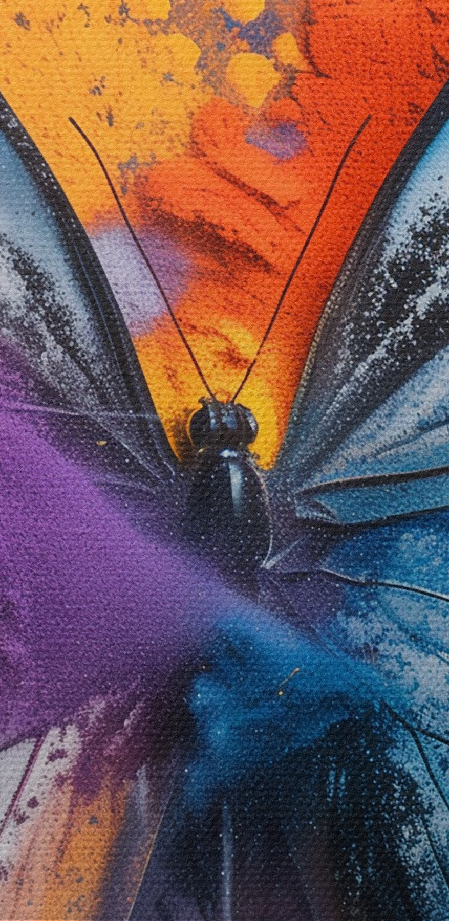 Schmetterling mit buntem Puder
