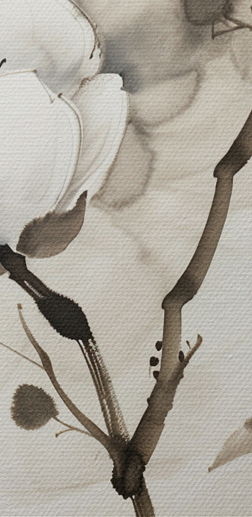 Nahaufnahme von Blumen