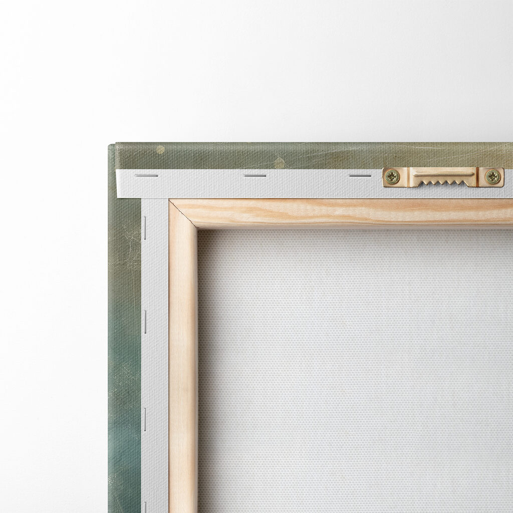 Close up of tall grass Close up of tall grass